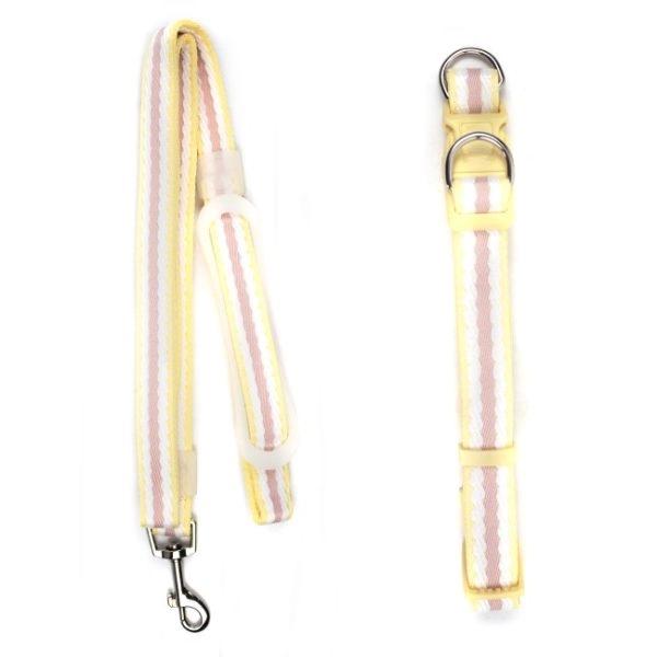 Imagen que muestra el producto Collar Con Correa Para Mascotas. Collar con correa, cuenta con estructura interna acolchada, hebilla ajustable, broche de seguridad y anillos tipo D para fijar la correa. Correa plana con mango macizo para mejor agarre. Material: Poliéster Color: Rosado con azul, morado con verde, amarillo con rosa, azul con amarillo. Disponible: Razas Pequeñas, medianas y grandes.