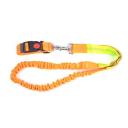 Imagen que muestra el producto Correa Para Trotar Con Mascota. Correa para salir a trotar, cuenta con correa resortada, broche de seguridad, tejido reflectivo y hebillas para ajustar a la medida. Material: Poliéster Color: Azul con gris, azul con verde, azul con naranja, negro con rojo, azul con rojo, naranja con verde. Disponible: Razas medianas.