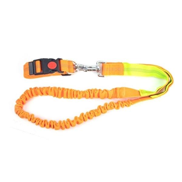 Imagen que muestra el producto Correa Para Trotar Con Mascota. Correa para salir a trotar, cuenta con correa resortada, broche de seguridad, tejido reflectivo y hebillas para ajustar a la medida. Material: Poliéster Color: Azul con gris, azul con verde, azul con naranja, negro con rojo, azul con rojo, naranja con verde. Disponible: Razas medianas.