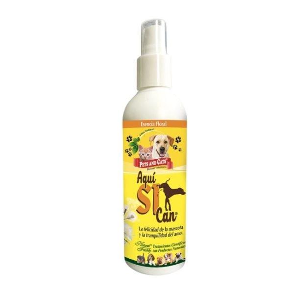 Imagen que muestra el producto Aqui Si Can Adiestramiento Spray 240 Ml. AQUI SI CAN Natural Freshly mejora el equilibrio de su mascota, guíandola a los lugares que desee que haga sus necesidades. Sirve tanto para orina como para heces. Presentación: Frasco x 240 ml Disponible: Para perros y gatos de todas las razas y edades.