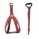 Imagen secundaria del producto Arnés Con Correa De Mango Macizo Para Mascotas. Arnés para mascotas, cuenta con hebillas ajustables, broche de seguridad, tejido reflectivo y correa con mango macizo. Material: Poliéster, metal Color: Rojo, gris, azul claro, azul oscuro Disponible: Razas grandes