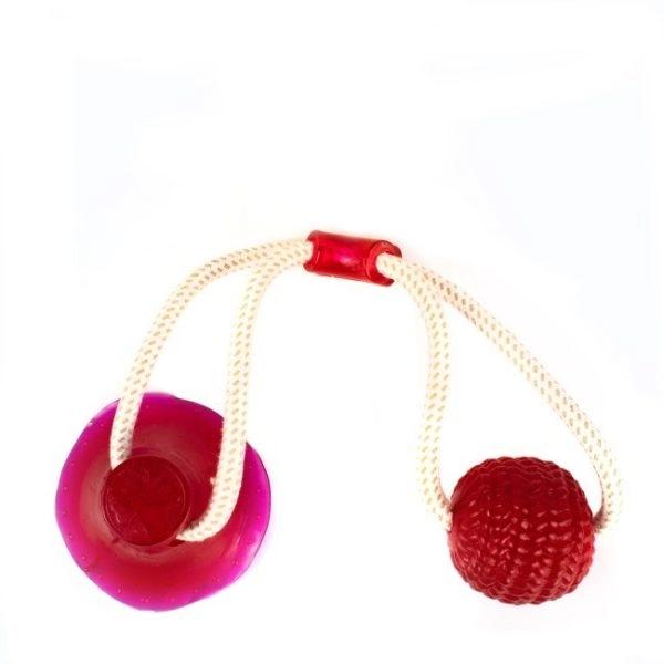 Imagen que muestra el producto Juguete Mordaza  Para Mascotas. Juguete mordaza, cuenta con pelota y una ventosa para adherir a superficies planas. Material: Poliéster, caucho Color: Azul, verde, rojo Disponible: Razas medianas y grandes.