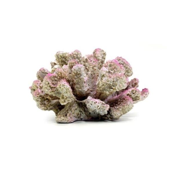 Imagen que muestra el producto Decoracion Coral. Decoración para acuario coral. Material: Resina Color: Disponible en la foto.
