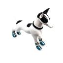 Imagen secundaria del producto Zapatos Unicolor Para Mascotas. Zapatos para mascotas con velcro ajustable, cremallera y suela de goma, en tallas 1, 2, 3, 4 y 5. Material: Poliéster                                                                                                                                                                                                                                                                                                      Color: Azul, rojo, negro, rosado                                                                                                                                                                                                                                                                 Disponible: Razas pequeñas y medianas.