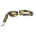 Imagen que muestra el producto Collar Con Correa Plana Para Mascotas. Collar con correa estampado, cuenta con hebilla ajustable, broche de seguridad y anillo tipo D para fijar la correa. Material: Poliéster, metal Color/Estampado: Paw Patrol, Wonder Woman, Marvel, Perritos. Disponible: Razas pequeñas, medianas y grandes.