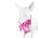 Imagen secundaria del producto Corbatín Diseño Art Para Mascotas. Corbata estampada para mascotas con broche de seguridad. Material: Poliéster Color/estampado: Azul perritos, negro huellas, rojo tipo tartán, azul rayas, blanco estrellas, rosa rayas. Disponible: Razas medianas y grandes.