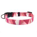 Imagen secundaria del producto Collar Estampados Para Mascotas. Collar estampado para mascotas, cuenta con broche de seguridad y anillo tipo D para fijar la correa. Material: Poliéster                                                                                                                                                                                                      Color: Rosado, negro, azul, azul con rosa, verde militar.                                                                                                                                                                                                             Disponible: Razas pequeñas.