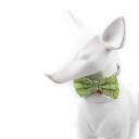 Imagen secundaria del producto Corbatin Estampado Para Mascotas. Corbatin estampado para mascotas, cuenta con broches de seguridad.  Material: Poliéster Color: Azul marinero, azul zorro, verde limón, negro bulldog, lila sushi Disponible: Razas medianas.