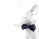 Imagen secundaria del producto Corbatin Estampado Para Mascotas. Corbatin estampado para mascotas, cuenta con broches de seguridad.  Material: Poliéster Color: Azul marinero, azul zorro, verde limón, negro bulldog, lila sushi Disponible: Razas medianas.