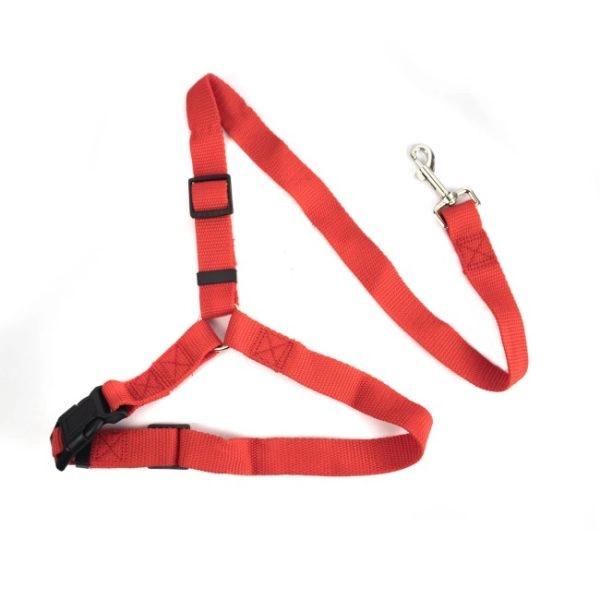 Imagen que muestra el producto Correa De Seguidad Para Mascotas. Correa para cabecero de asiento de carro, cuenta con broche de seguridad y hebilla ajustable. Material: Poliéster Color: Rojo, negro, café, rosado Disponible: Razas medianas