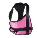Imagen que muestra el producto Pechera Anti-Tirones Estampada. Pechera anti-tirones estampada, cuenta con tejido reflectivo, broches de seguridad y anillos tipo D para ajustar la correa  Material: Poliéster Color: Rosado, fucsia Estampado: Superman, Paw Patrol Disponible: Razas pequeñas, medianas y grandes.