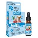 Imagen que muestra el producto Esencia Belight Lets Go Frasco Natural Freshly 25 Ml. Esencia Belight lets go Natural Freshly ayuda a nivelar la ansiedad en las mascotas por comer desaforadamente. Ingredientes: Armonica asociación de esencias florales.  Presentación: Frasco x 25 ml con gotero Disponible: Para perros y gatos de todas las razas y edades.