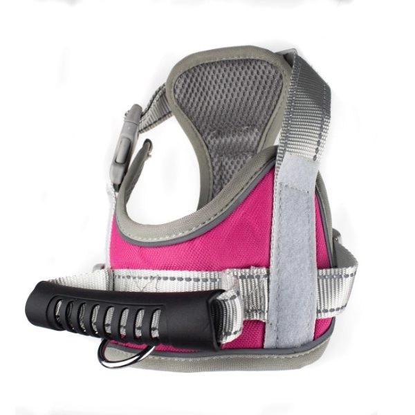 Imagen que muestra el producto Pechera Paw Patrol Para Mascotas. Pechera anti-tirones, cuenta con hebillas ajustables, broches de seguridad, velcro adhesivo personalizable a los costados y anillo tipo D en la parte superior e inferior para fijar la correa. Material: Poliéster, metal                                                                                            Color/Estampado: Rosado, verde, Paw Patrol, perros                                                                                        Disponible: Razas grandes