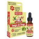 Imagen que muestra el producto Esencia Sangre De Drago Lets Go Natural Freshly 25 Ml. Esencia sangre de Drago lets go Natural Freshly es un potente cicatrizante, analgésico y antibacterial, se puede dar como preventivo o como curativo. Útil en heridas de la piel por enfermedades y lesiones. Ingredientes: Armonica asociación de esencias florales.  Presentación: Frasco x 25 ml con gotero Disponible: Para perros y gatos de todas las razas y edades.