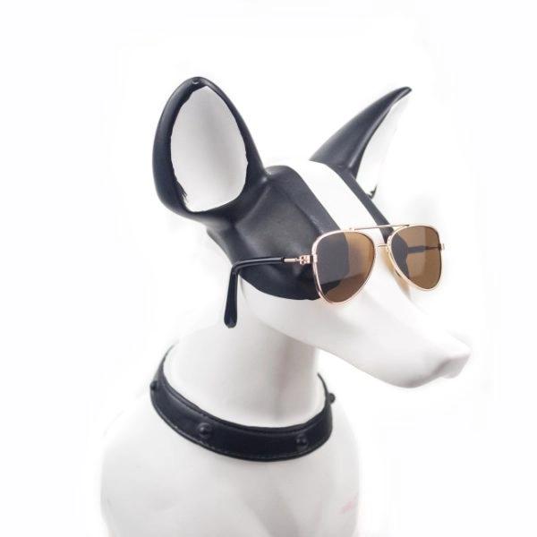 Imagen que muestra el producto Gafas De Aviador Para Mascotas. Gafas de sol para mascotas. Material: Plástico                                                                   Color:                                                                                           Disponible: Razas pequeñas.