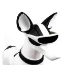 Imagen que muestra el producto Gafas Motocicleta Para Mascotas. Gafas deportivas para mascotas. Material: Plástico                                                                                                                                                                                                          Color: Negro, tornasol                                                                                                                                                                                                              Disponible: Razas pequeñas.