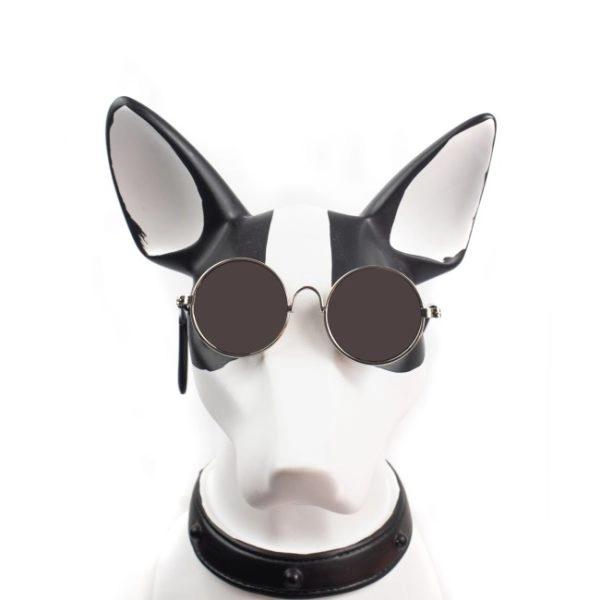 Imagen que muestra el producto Gafas Redondas Para Mascotas. Gafas de sol para mascotas. Material: Plástico                                                                                                                                                           Disponible: Razas pequeñas.