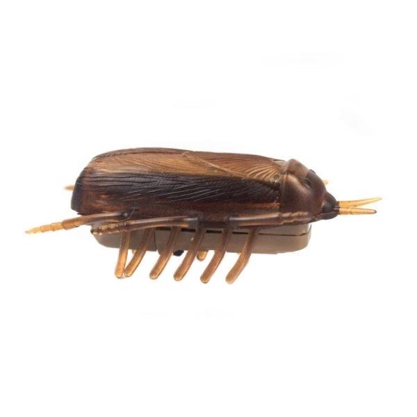 Imagen que muestra el producto Juguete Interactivo Cucaracha Para Mascotas. Juguete interactivo para mascotas cuenta con pilas. Material: Plástico                                                                                                                                                                                                             Color: Disponible en la foto.                                                                                                                                                                                                                    Disponible: Razas pequeñas.