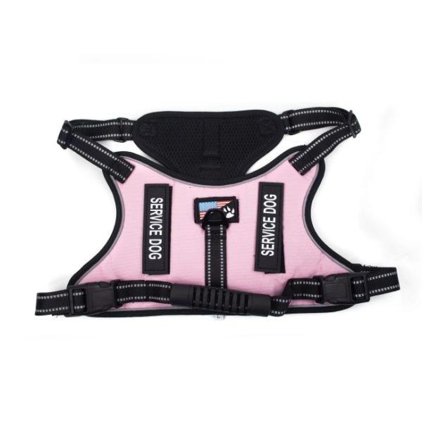 Imagen que muestra el producto Pechera  Diseño Service  Para Mascotas. Sin descripción Producto diseñado especialmente para mascotas con materiales seguros y de alta calidad.