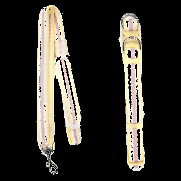 Imagen que muestra el producto Collar Con Correa Para Mascotas. Collar con correa, cuenta con estructura interna acolchada, hebilla ajustable, broche de seguridad y anillos tipo D para fijar la correa. Correa plana con mango macizo para mejor agarre. Material: Poliéster Color: Rosado con azul, morado con verde, amarillo con rosa, azul con amarillo. Disponible: Razas Pequeñas, medianas y grandes.